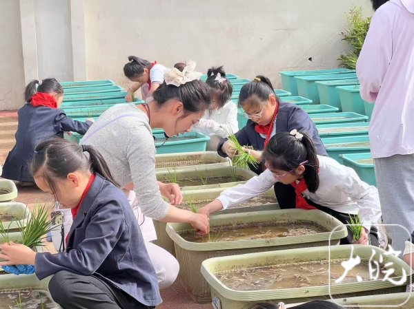 线上配资网 劳动赋能成长实践点亮未来  合肥高新区首届学生劳动素养展评活动火热启幕  _大皖新闻 | 安徽网