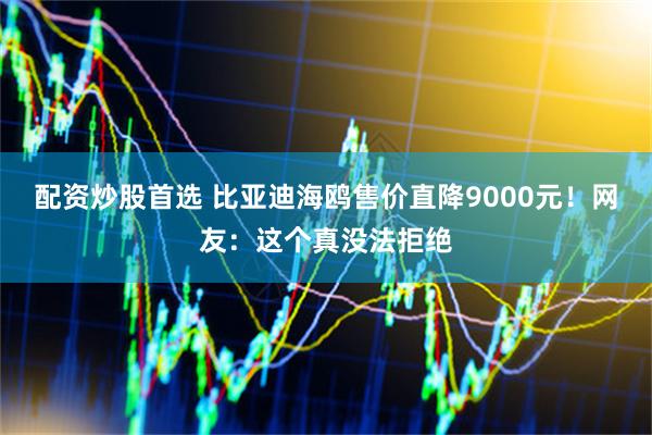 配资炒股首选 比亚迪海鸥售价直降9000元！网友：这个真没法拒绝